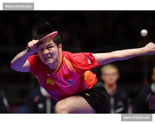 樊振东 WTT 惊喜回归！战略股东身份引爆乒坛新变局